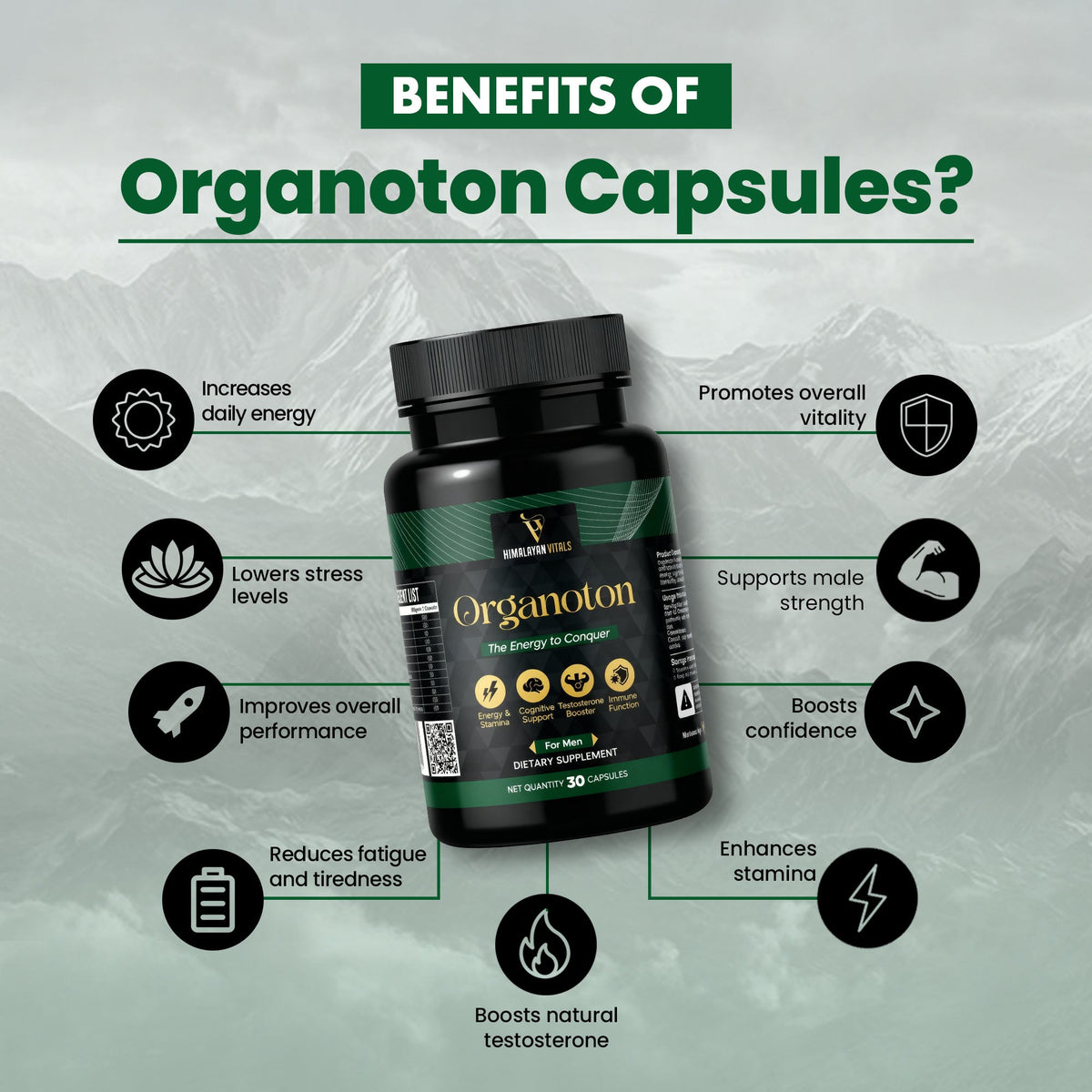 Organotan, Shilajit Multivitamin Capsules for men, 60 serving