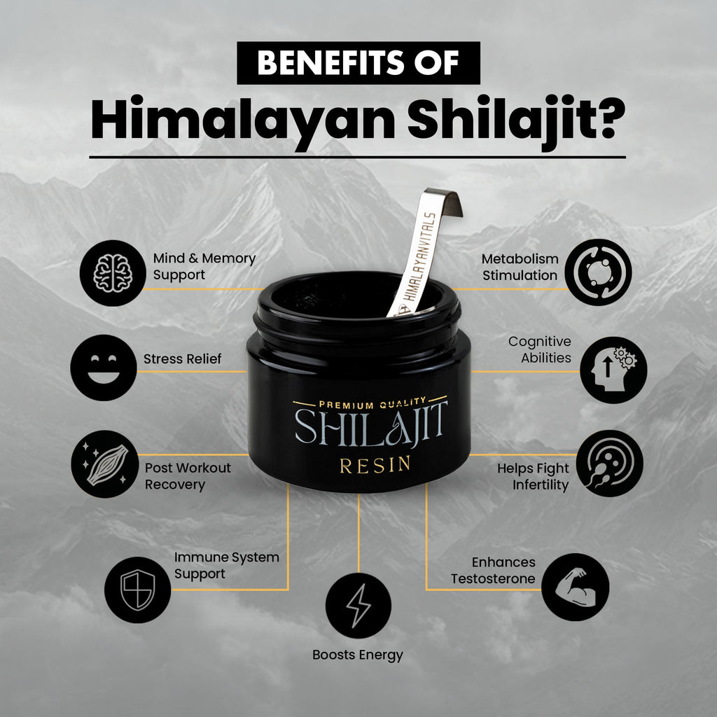 Himalayan Vitals Pure Shilajit Resin with Fulvic acid & 85+ Trace Minerals