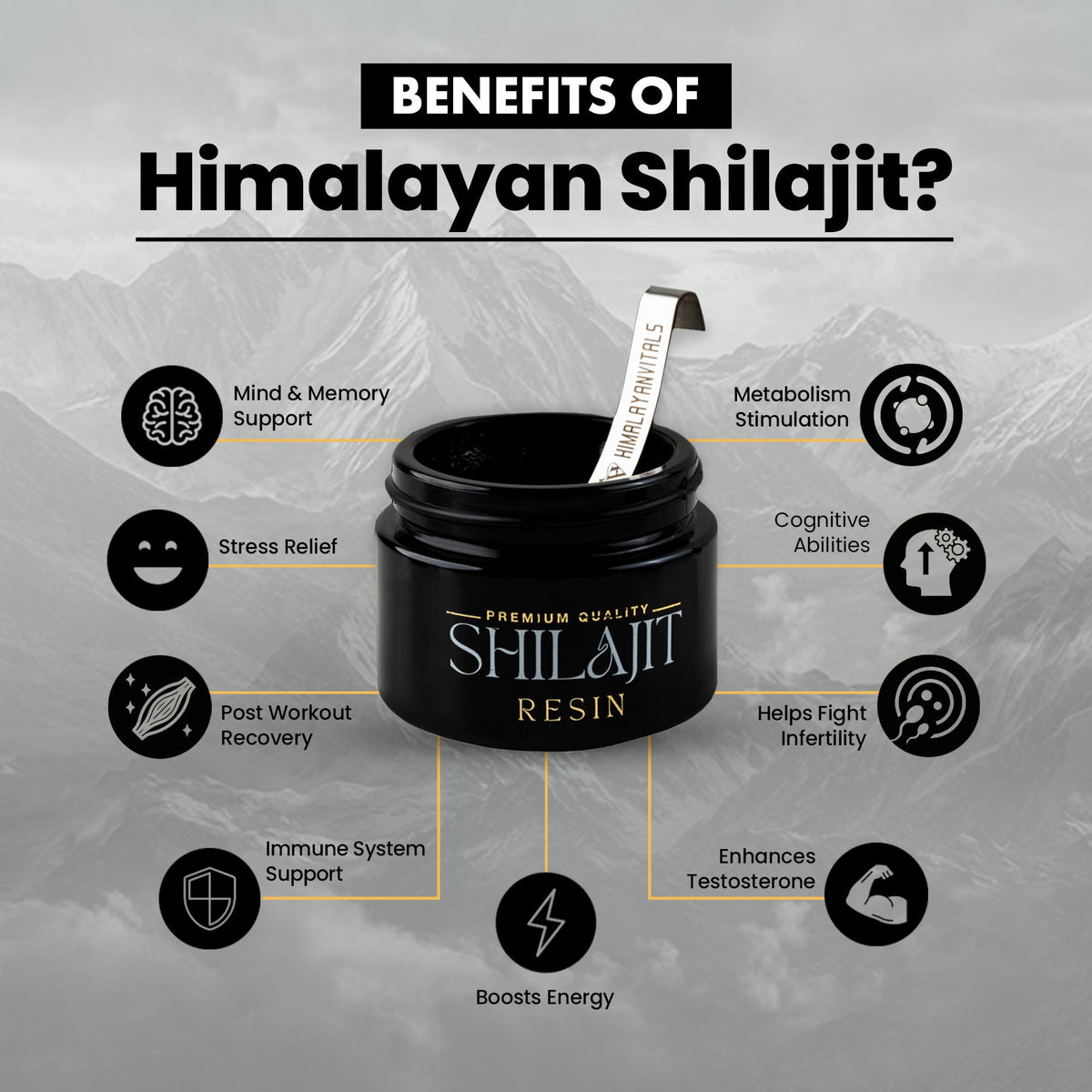 Himalayan Vitals Pure Shilajit Resin with Fulvic acid & 85+ Trace Minerals