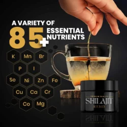 Shilajit Resin 30G 13 Shilajit Resin 30G